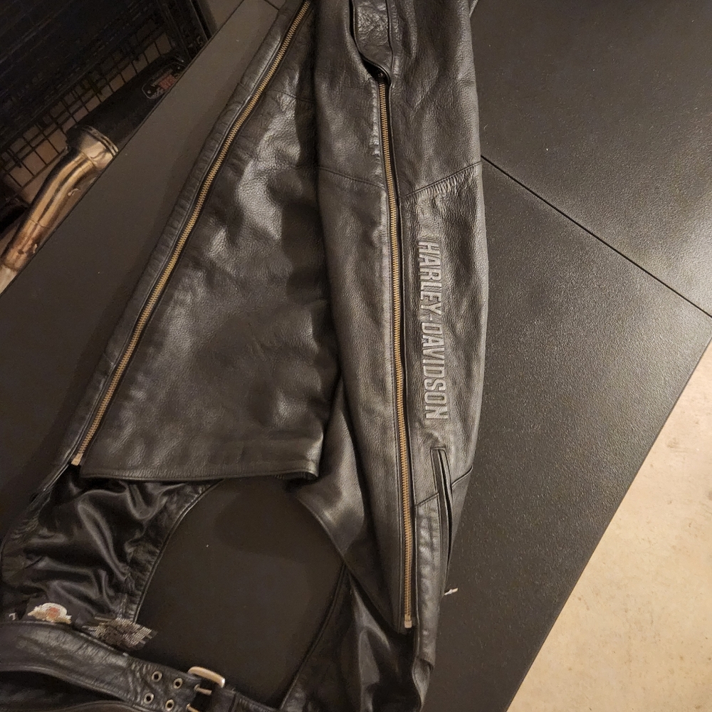 Men's Harley Davidson leather chaps